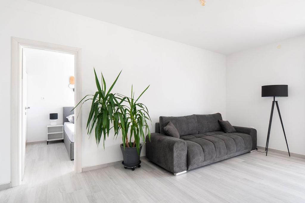 Apartments Grubisic - Sibenik - Parking Included מראה חיצוני תמונה