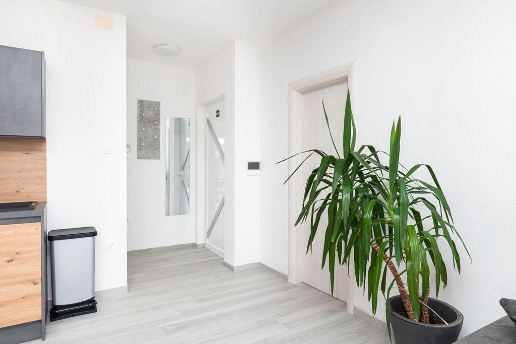 Apartments Grubisic - Sibenik - Parking Included מראה חיצוני תמונה